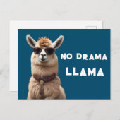 Geen drama Llama Cool Alpaca Draag zonnebril blauw Briefkaart (Voorkant / Achterkant)