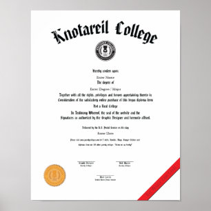 Geen echt diploma 11 x 14 poster