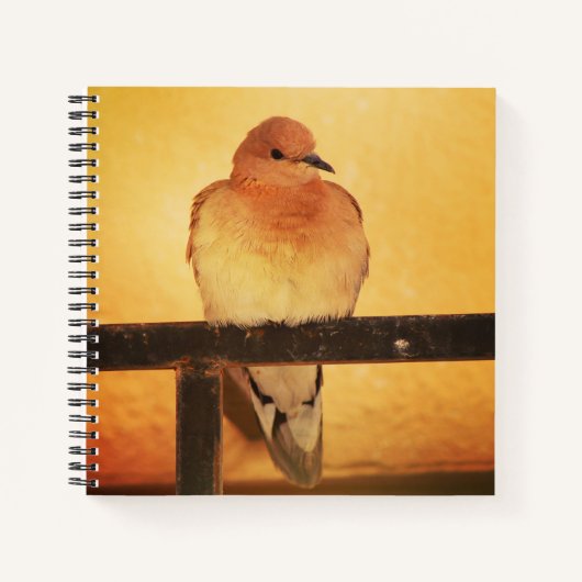 "Geen foto's, alsjeblieft!" Notitieboek (Voorkant)