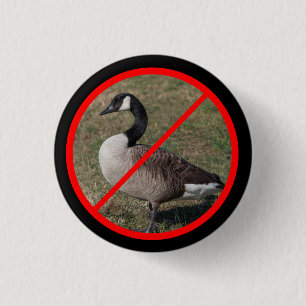 Geen Ganzen Toegestaan Ronde Button 3,2 Cm