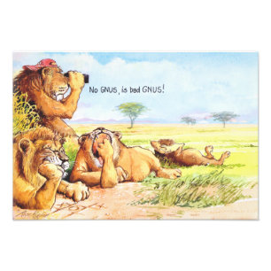 Geen gnus foto afdruk