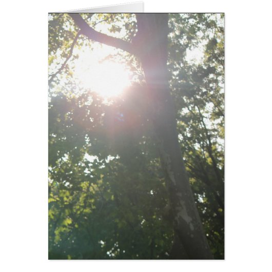 Geen goede reden (Voorkant)