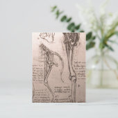 Geen hogere resolutie beschikbaar. Leonardo_anatom Briefkaart (Staand voorkant)