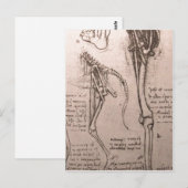 Geen hogere resolutie beschikbaar. Leonardo_anatom Briefkaart (Voorkant / Achterkant)