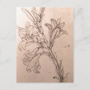 Geen hogere resolutie beschikbaar. Leonardo_lilies Briefkaart