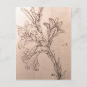 Geen hogere resolutie beschikbaar. Leonardo_lilies Briefkaart (Voorkant)