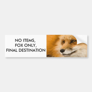 Geen Items, Alleen Vos, Eindbestemming Bumpersticker