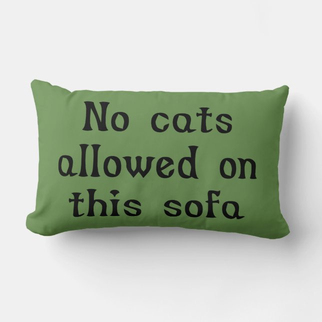 Geen katten toegestaan op deze sofa kussen (Voorkant)