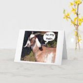 GEEN KIDING ZEGT DAT GEITENSCHAPPIJ TWEEDE MAANDAG KAART (Gele Bloem)