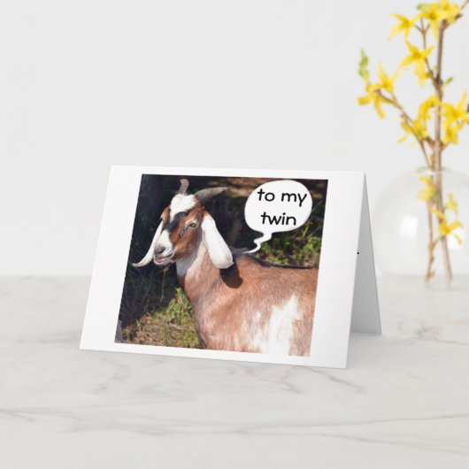 GEEN KIDING ZEGT DAT GEITENSCHAPPIJ TWEEDE MAANDAG KAART (Gele Bloem)