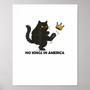Geen Koningen In Amerika Wij Het Volk Politiek Vin Poster