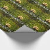 Geen man is een mislukking met Grondhogs-papier Cadeaupapier (Hoek)