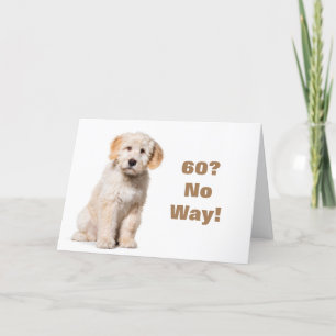 GEEN MANIER DAT U **60* KAART NIET KUNT ZIJN