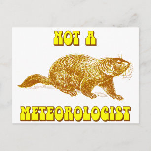 Geen meteoroloog Groundhog Briefkaart