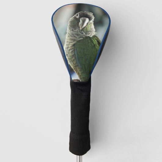 Geen mock Egel meer Golfheadcover (Voorkant)