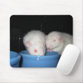 Geen Muismat... Muismat (Met muis)