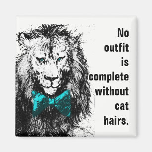 Geen outfit is compleet zonder kattenharen magneet