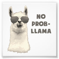 Geen probleem Llama