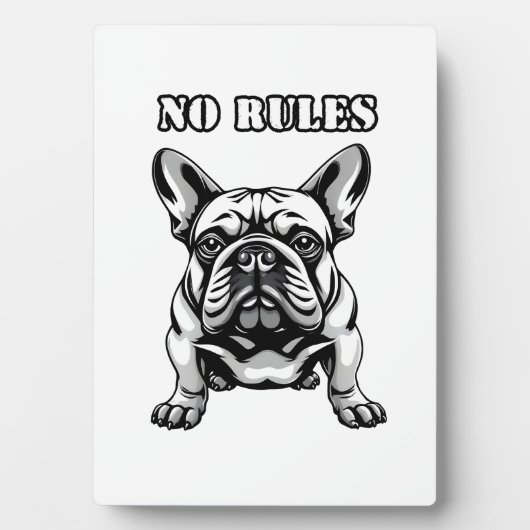 Geen regels fotoplaat (voorkant)