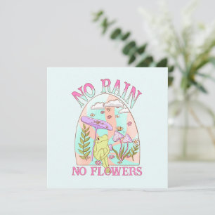 Geen regen, geen bloemen – Levendige bloemen & pad
