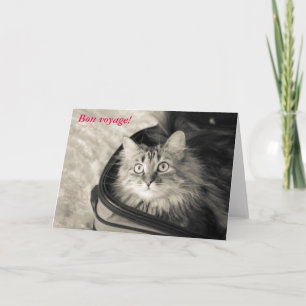 Geen reiskaart met kat. kaart