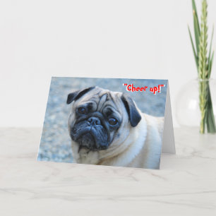 Geen rimpels Pug Verjaardag Kaart