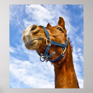 geen ritje vandaag poster