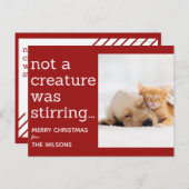 geen schepsel roerde de rode foto ' s kerst briefkaart (Voorkant / Achterkant)