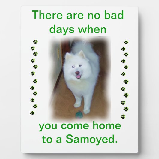 Geen slechte dagen - Samoyed plaque Fotoplaat (Voorkant)