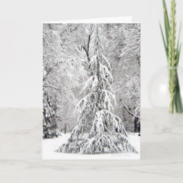 -Geen sneeuwvlok Herfsten op de verkeerde plaats. Feestdagen Kaart