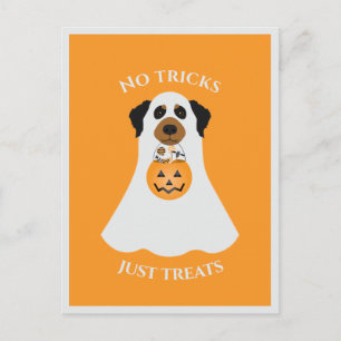 Geen Streken Alleen Snoepjes Halloween Hond Briefkaart