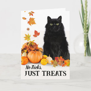 Geen Streken Alleen Snoepjes Halloween Zwarte Kat Kaart