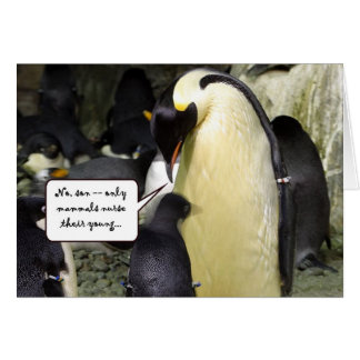 Geen vrije Lunch Penguin