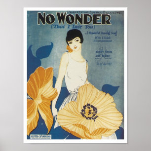 Geen wonder dat ik van je Songbook Hoesje hou Poster