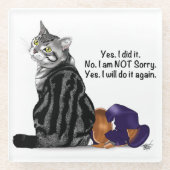 Geen wroeging Tabby Cat Funny Glazen Onderzetter (Voorkant)