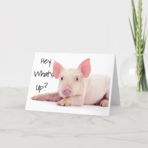 GEEN ZORGEN, HET VARKEN "60" IS NIET ZO SLECHT!!! KAART