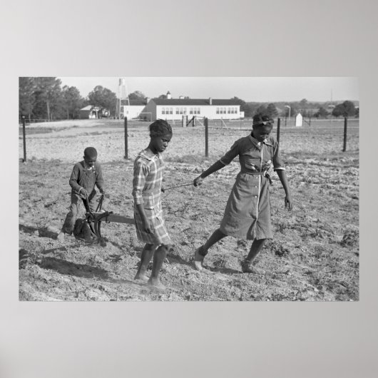 Gee's Bend Garden, jaren '30 Poster (Voorkant)