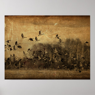 Geese Antiek Sepia Wildlife Texture Poster