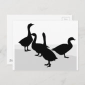 Geese Briefkaart (Voorkant / Achterkant)