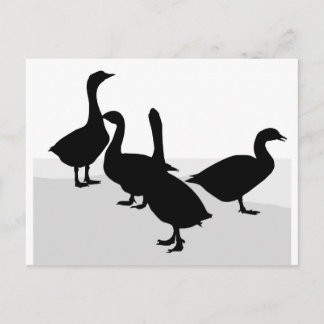 Geese Briefkaart