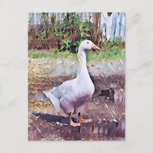 GEESE BRIEFKAART