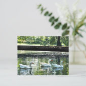 Geese Briefkaart (Staand voorkant)