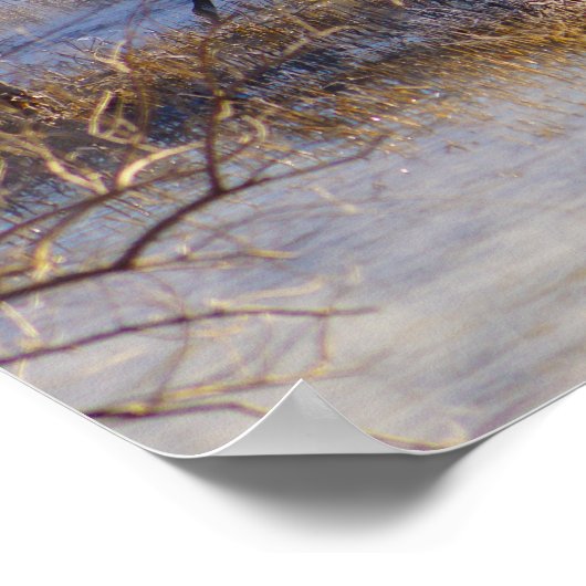 Geese die een Poster van de Break neemt (Hoek)