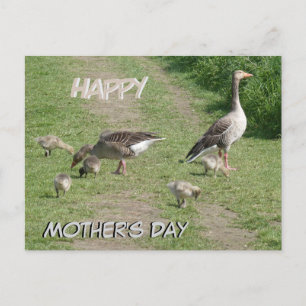 Geese Family Happy Moederdag Briefkaart