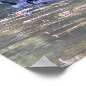 Geese foto poster (Hoek)