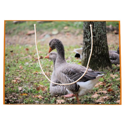 Geese Groot Cadeauzakje (Voorkant)