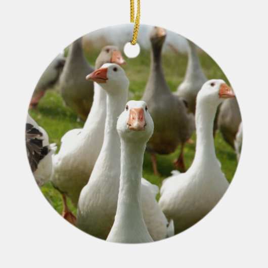 Geese Keramisch Ornament (Voorkant)