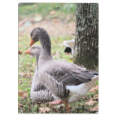 Geese Klembord (Achterkant)