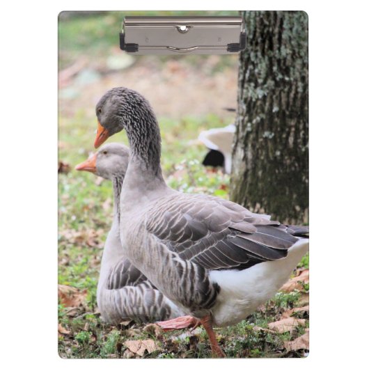 Geese Klembord (Voorkant)