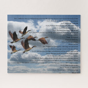 GEESE LEGPUZZEL